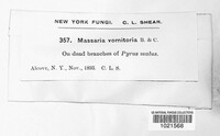 Image Associated With the Occurence